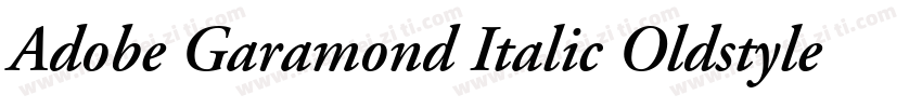 Adobe Garamond Italic Oldstyle Figu字体转换